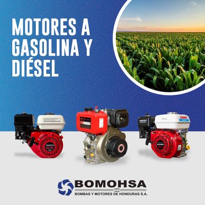 Motores a Gasolina y Diesel