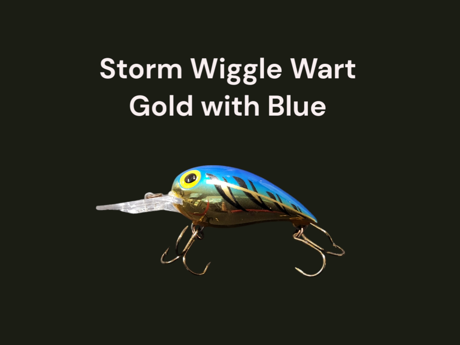Wiggle Wart Gold w/blue
