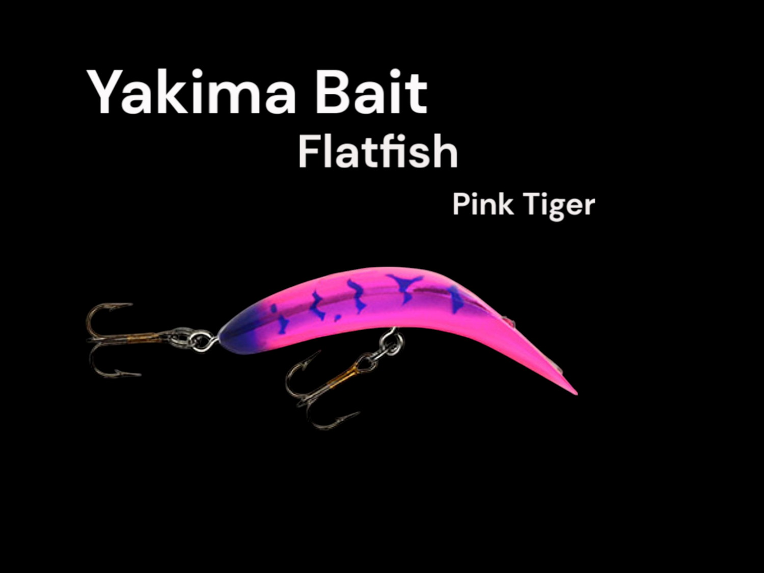 Flatfish Met Purple Pink Tiger