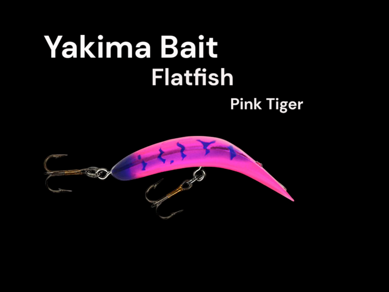 Flatfish Met Purple Pink Tiger