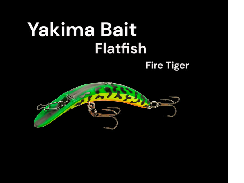 Flatfish Fire Tiger