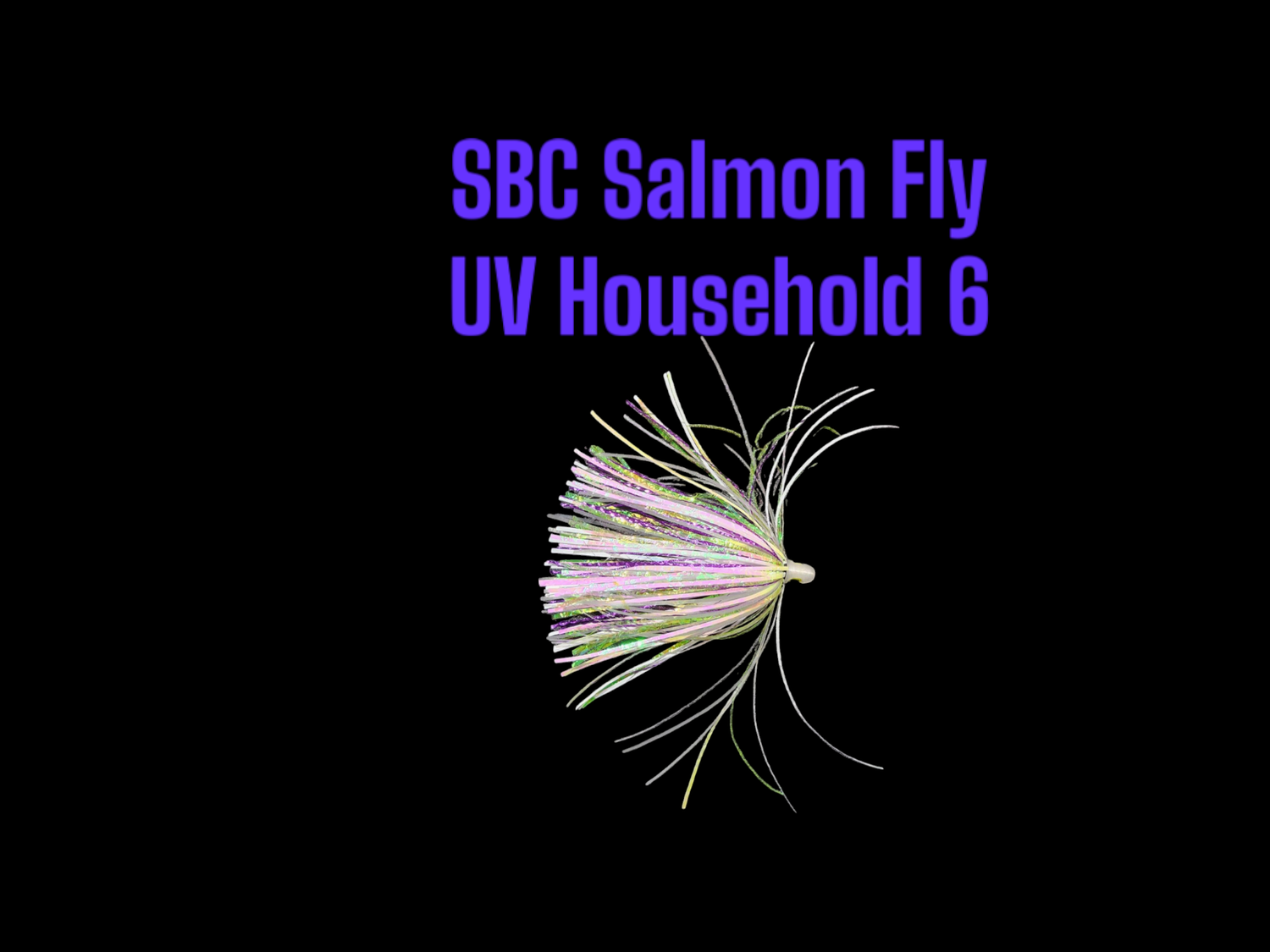 SBC Household 6