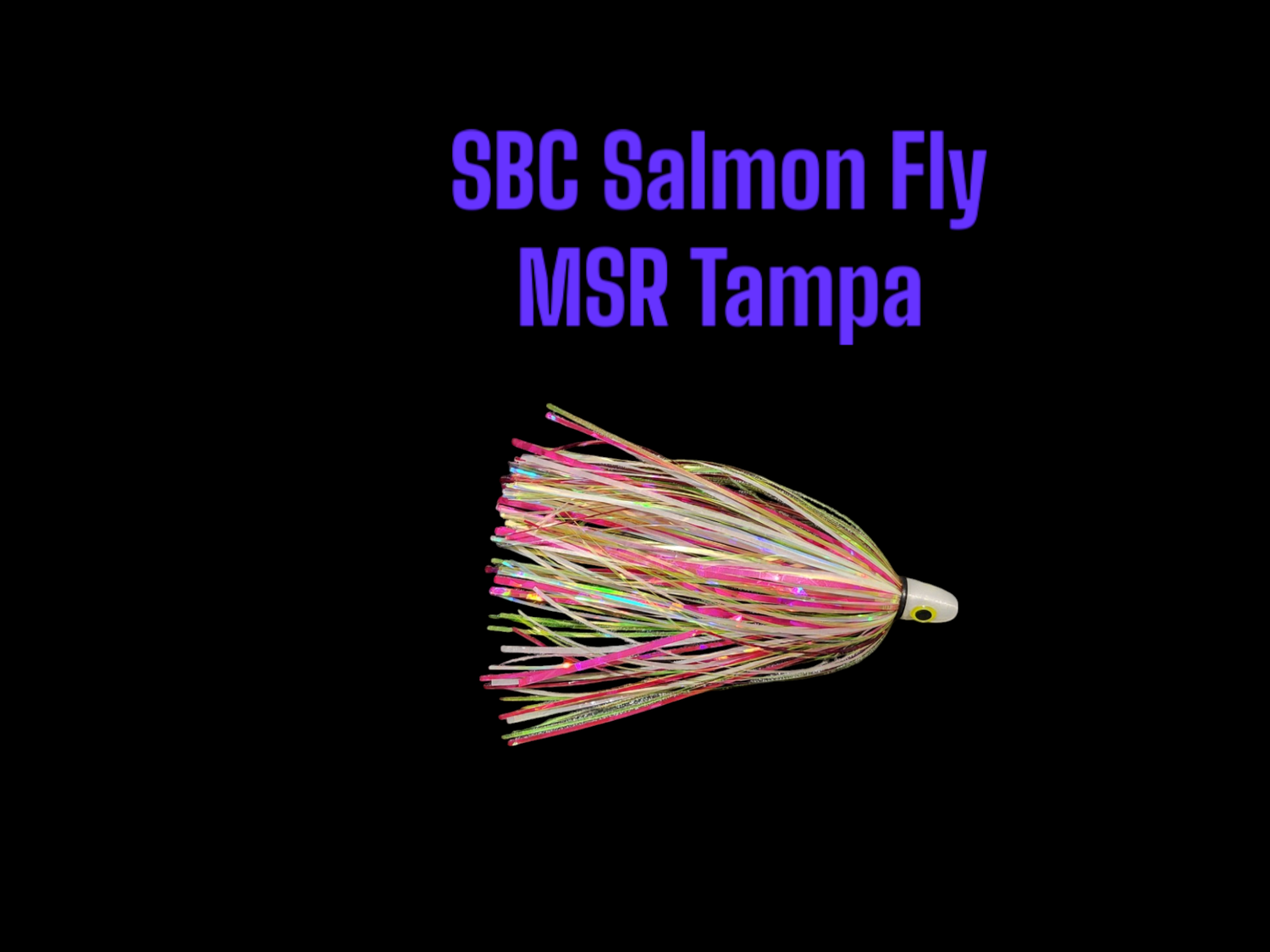SBC MSR Tampa