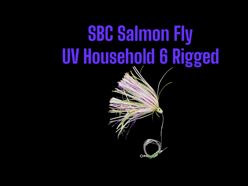 SBC Household 6 Rigged