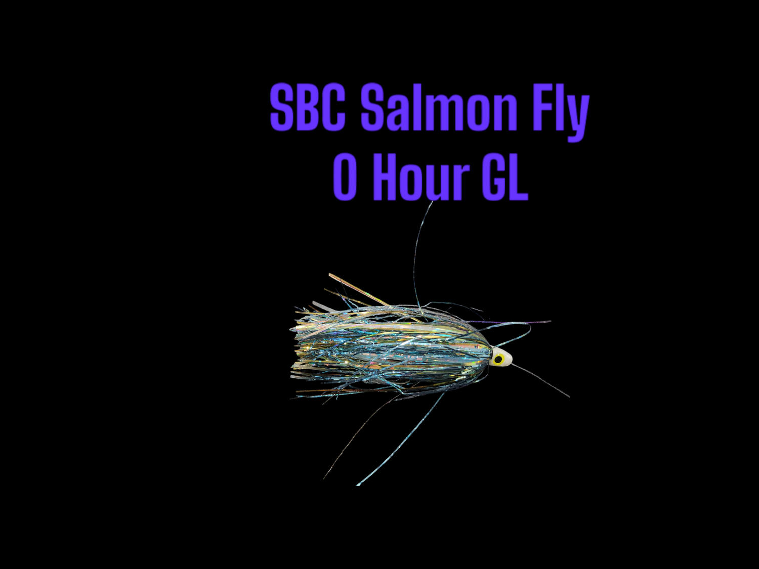 SBC 0 Hour GL