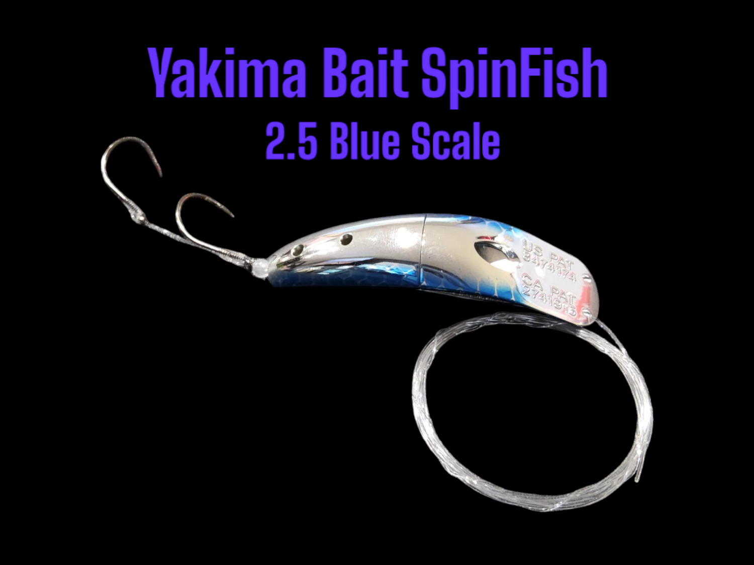 SpinFish 2.5&quot; Blue Scale