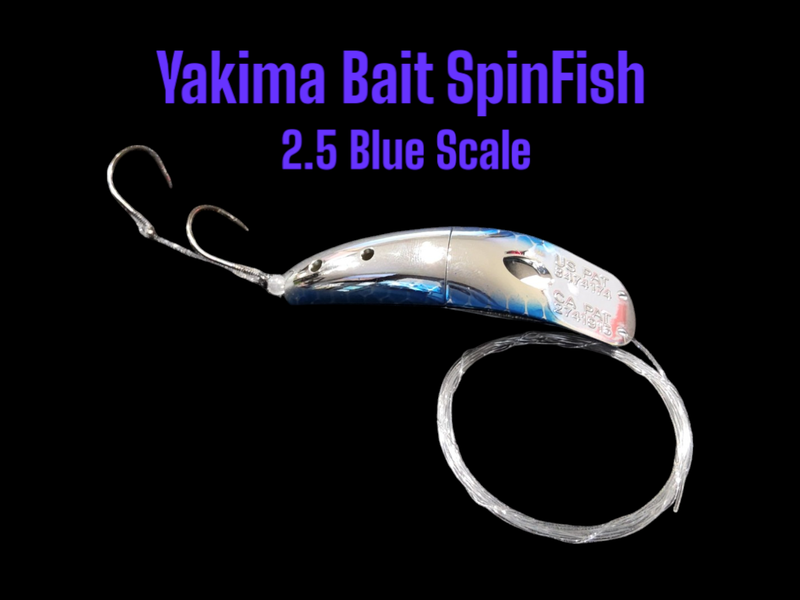 SpinFish 2.5&quot; Blue Scale