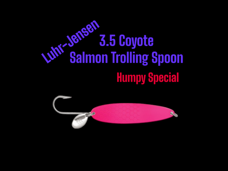 Coyote 3.5 Humpy Special
