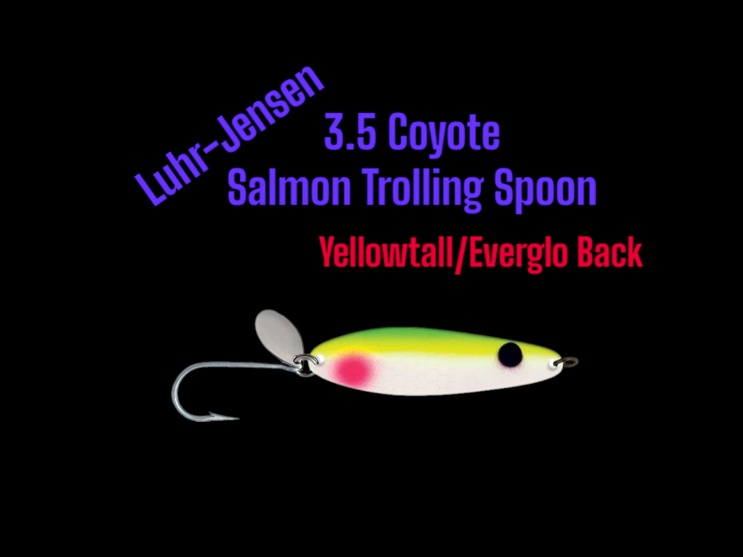 Coyote 3.5 Salmon Trolling Spoon Yellowtall/Everglo Back