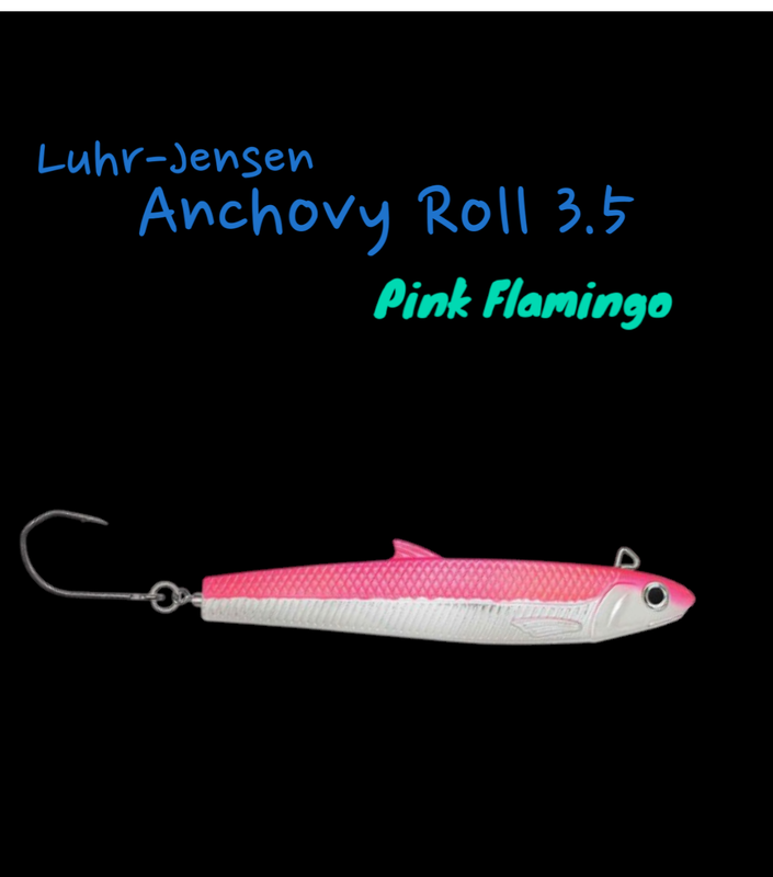 Anchovy Roll 3.5 Glow Flamingo