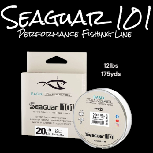 Seaguar101 20lb 175yd