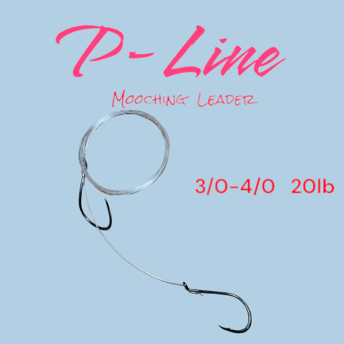 P-Line Mooching Leader