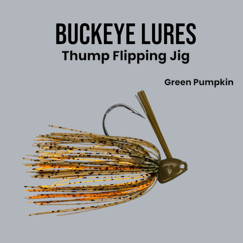 Buckeye Thump Grn Pumpkin
