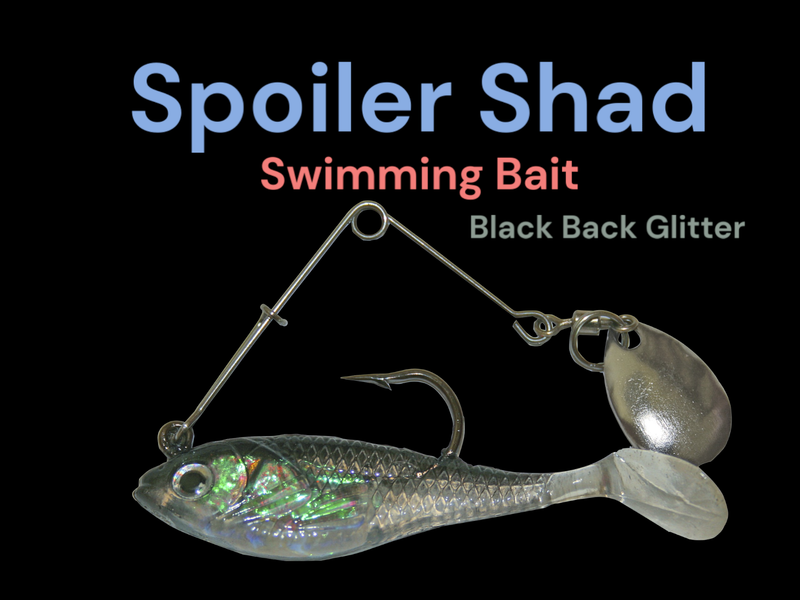 Spoiler Shad Black Back