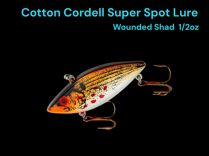 Cotton Cordell Lure Wounded Shad 1/4oz