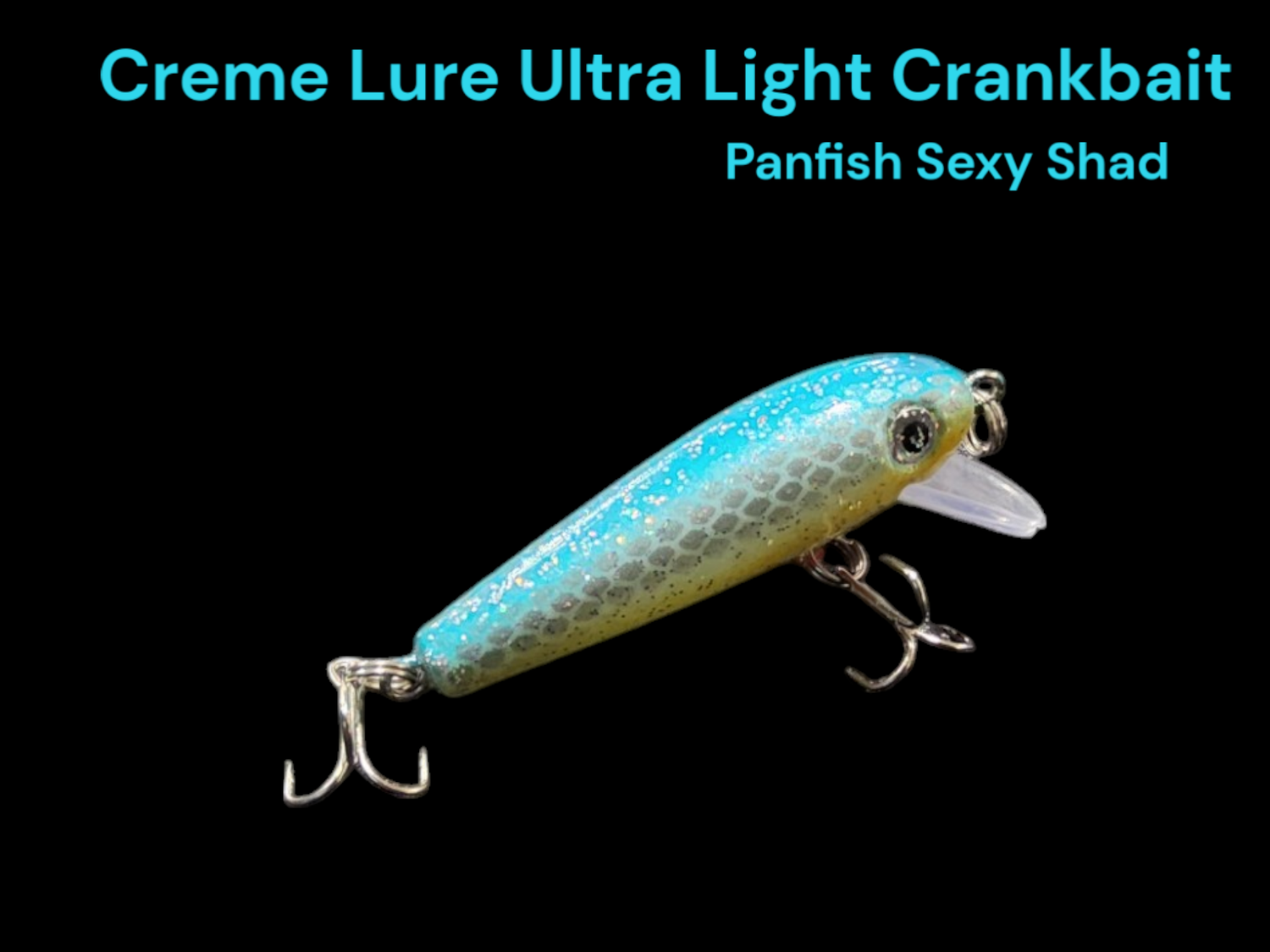 Fishing Favorites Sexy Shad