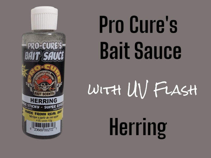 Pro-Cure Herring Bait Sauce 4oz Herring