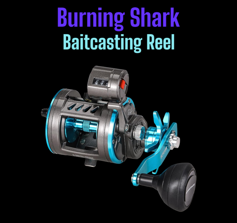 Burning Shark Reel