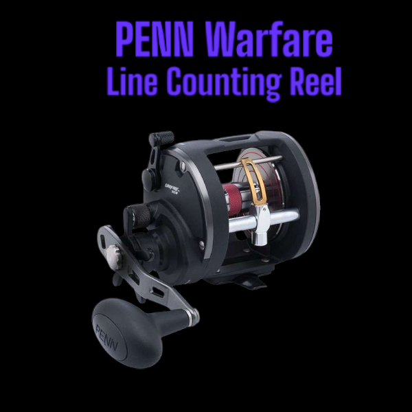 Penn WAR15LWLC Warfare Level Wind Line Counter Reel