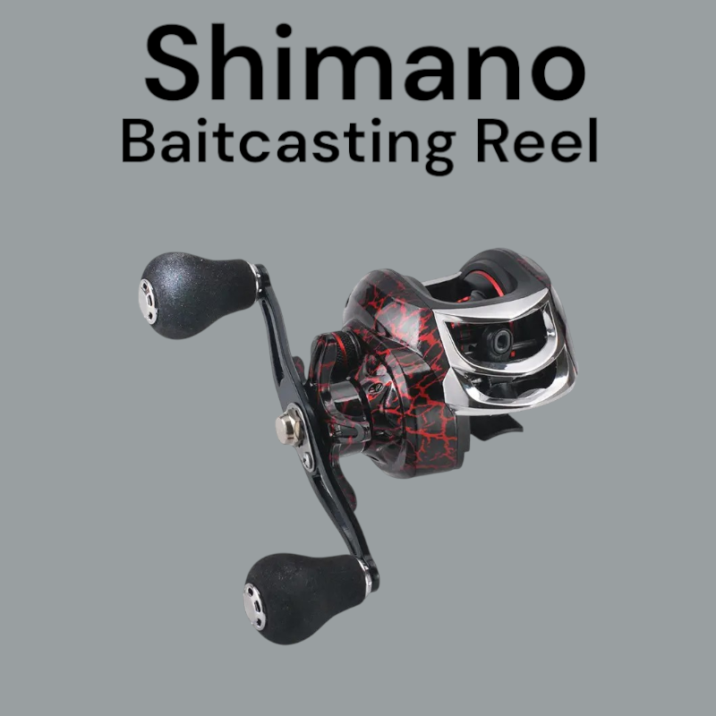 Shimano Baitcasting Reel