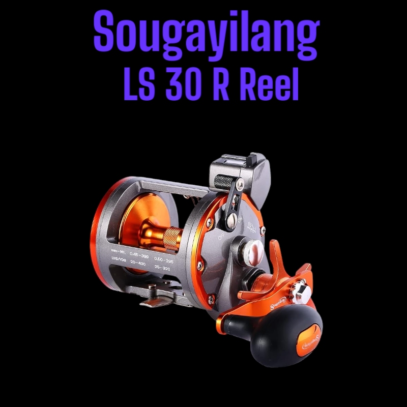 Sougayilang LS 30 R Reel