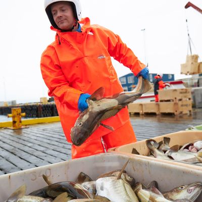 Elka Rainwear | Fischöl - und kältebeständig