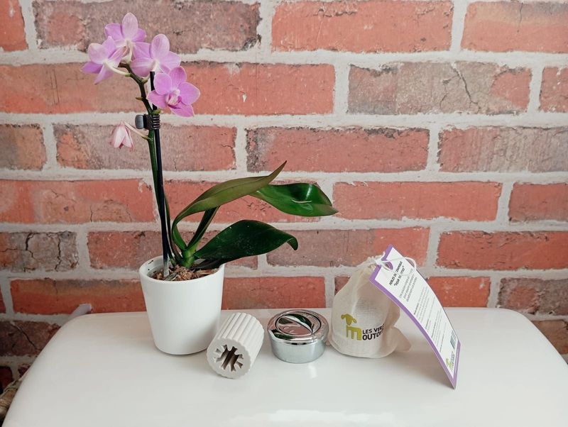 Perles de Céramique «Toilette»