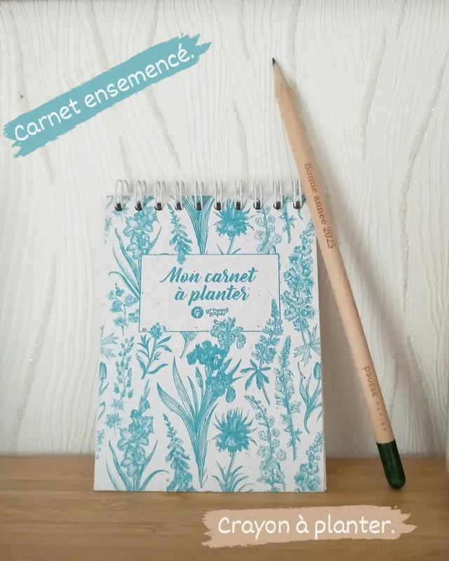Crayon à planter Crayon à planter "Bonne Année 2025"