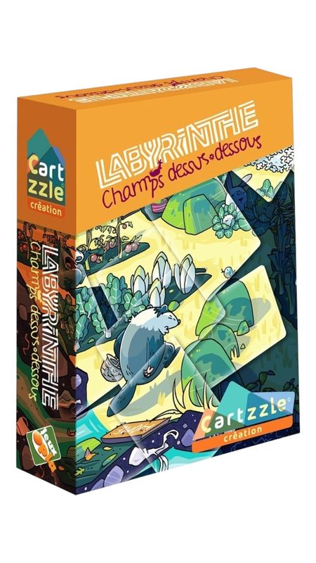 Cartzzle Labyrinthe Champs dessus-dessous