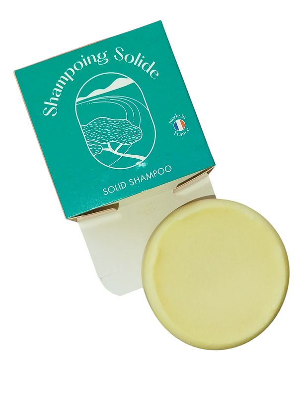 Shampoing solide