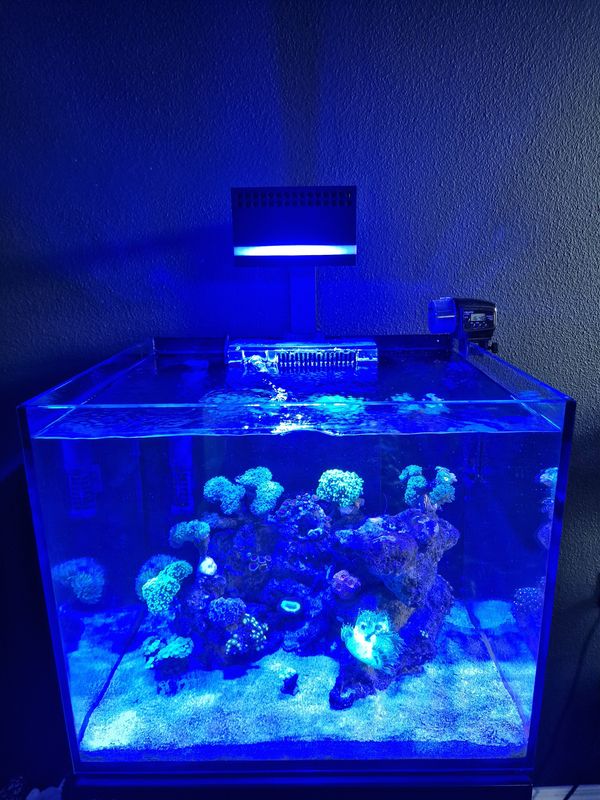 Red Sea Reefled 90 Schaduwkap met licht rand