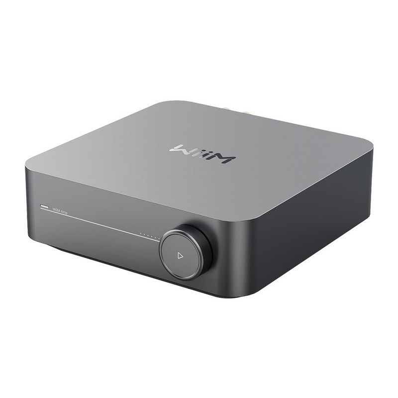 Wiim Amp — Complete Audio in Maroochydore, QLD