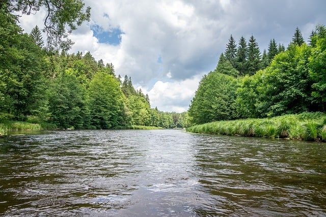 Bild Moldau