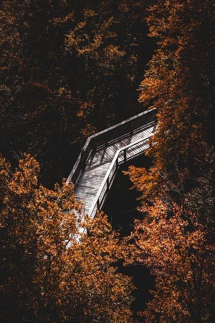 Bild - Herbst (3)