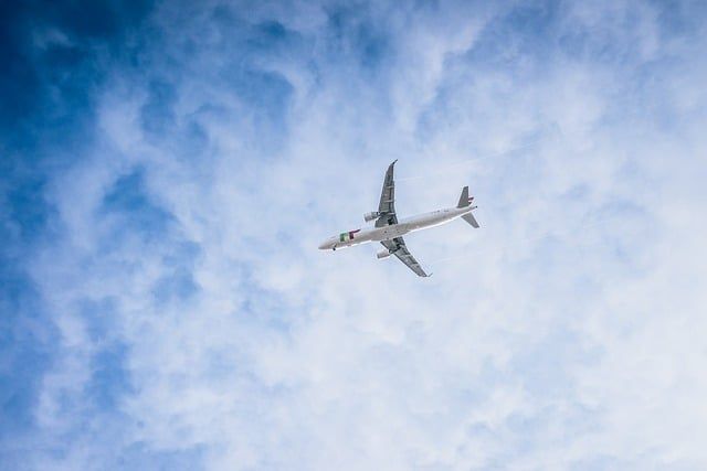 Bild Flugzeug (1)