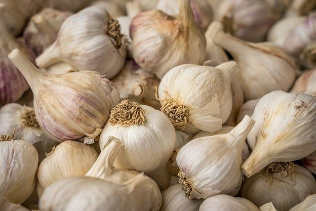 Bild Knoblauch