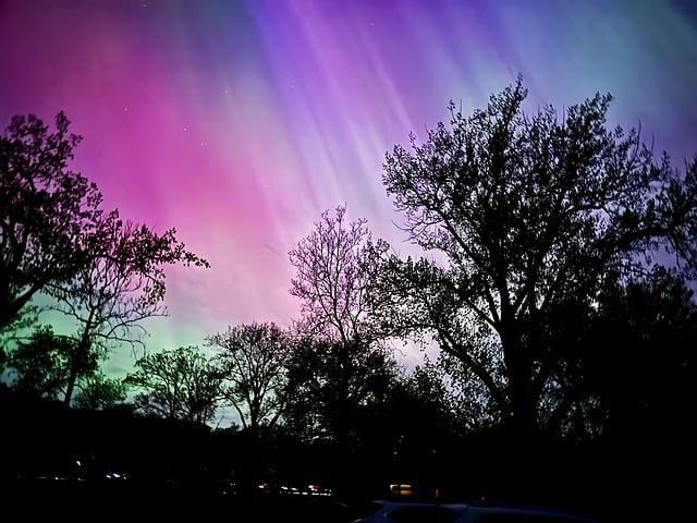 Bild Nordlicht (1)