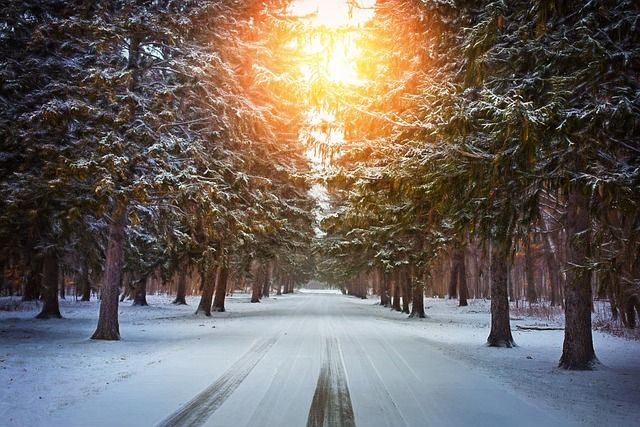 Bild Winter