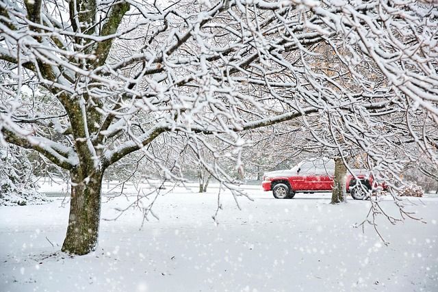 Bild Schnee (2)