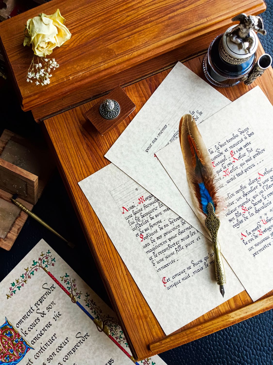 Petite Faisan Nature Petite Faisan Nature