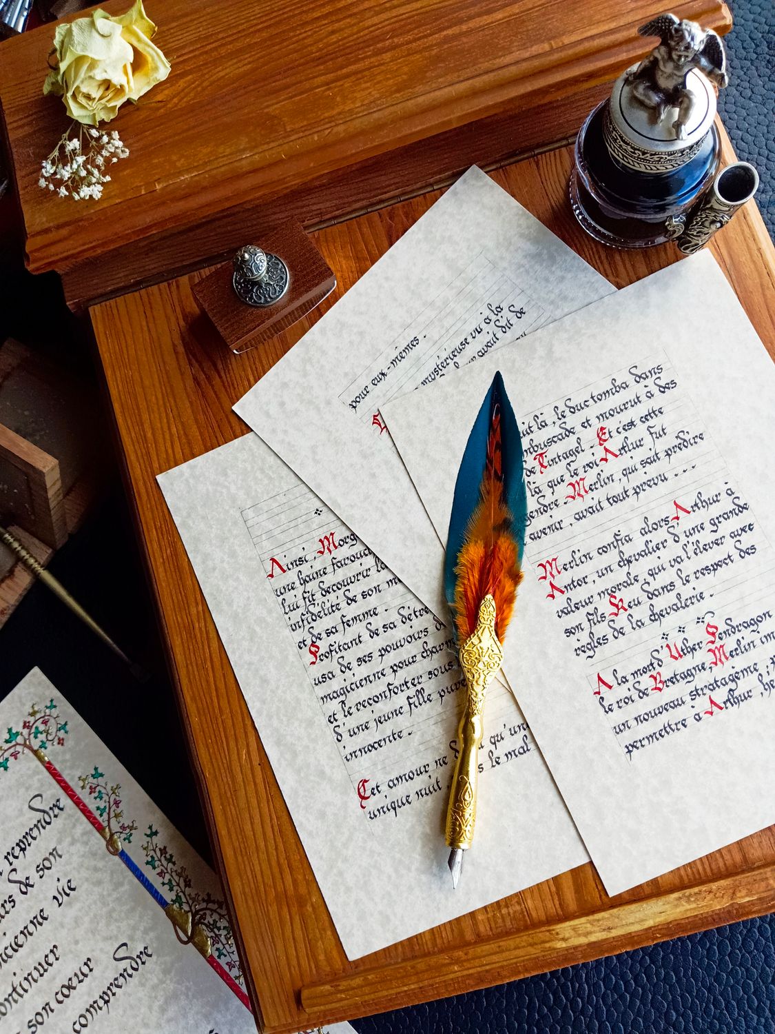 Petite Canard Vert Petite Canard Vert