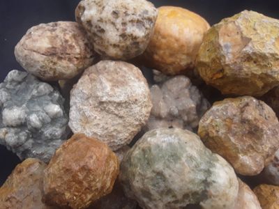 An image of Premium Kentucky Geodes @ Fishing Creek Rocks, Natural Earthy colors.