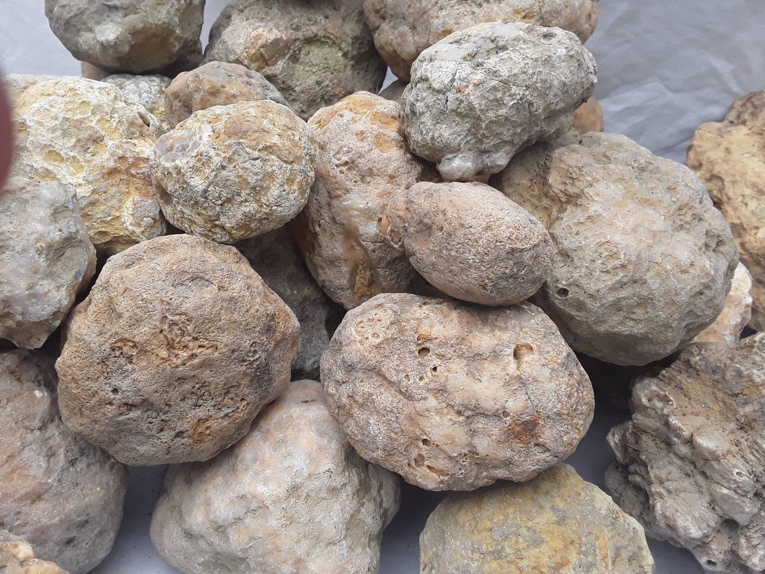 This image is a pile of Premium Kentucky Geodes various sizes, it&#39;s a healthy mix. Taken by Jennifer Gilpin @ Fishing Creek Rocks in Lincoln County Kentucky.