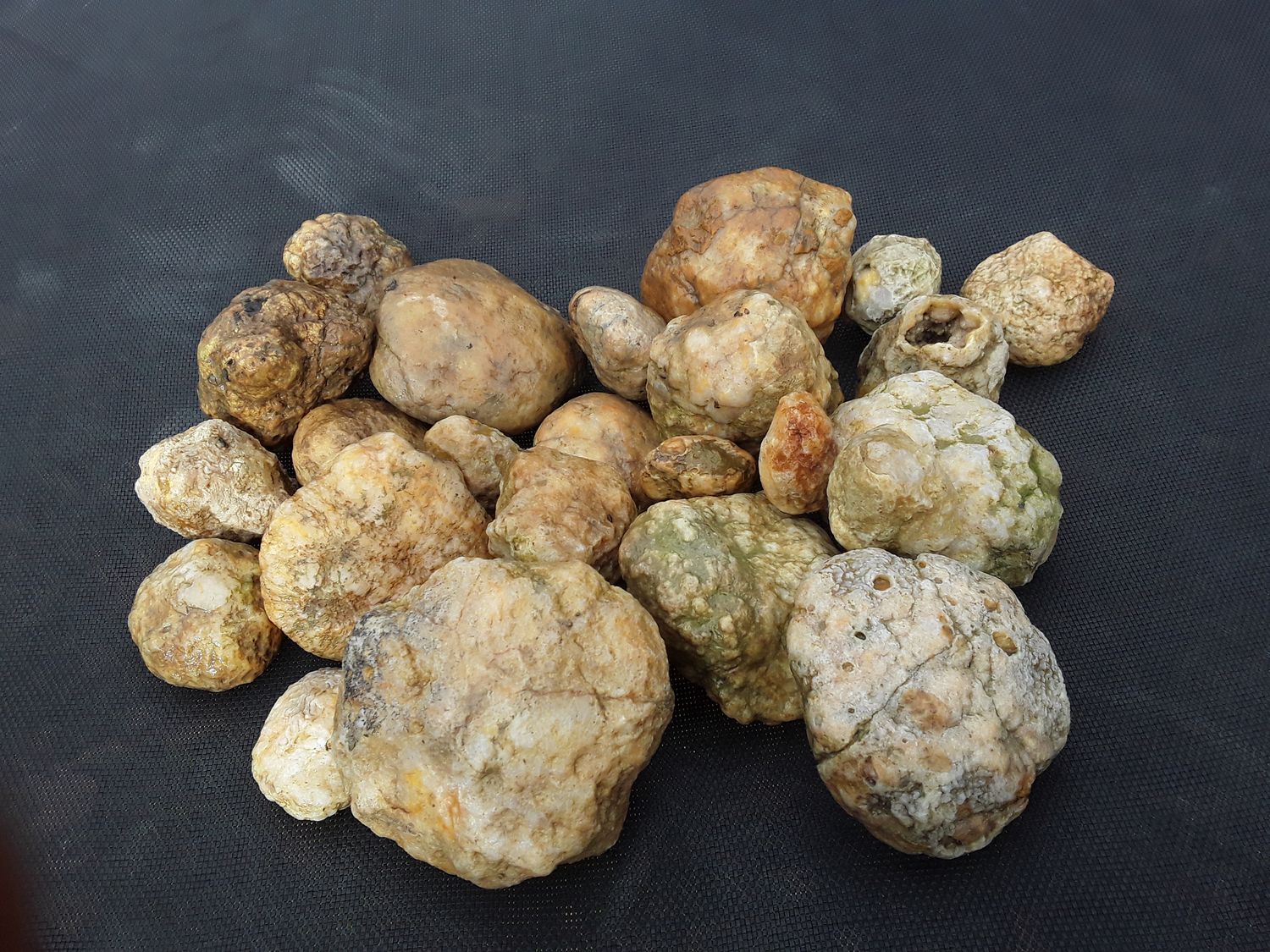 Kentucky Whole Geodes By The Pound Personalized Orders, You Approve Before I Ship It, Customer Satisfaction Guaranteed