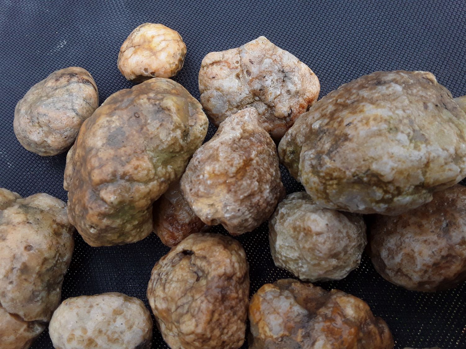 Kentucky Whole Geodes By The Pound Personalized Orders, You Approve Before I Ship It, Customer Satisfaction Guaranteed