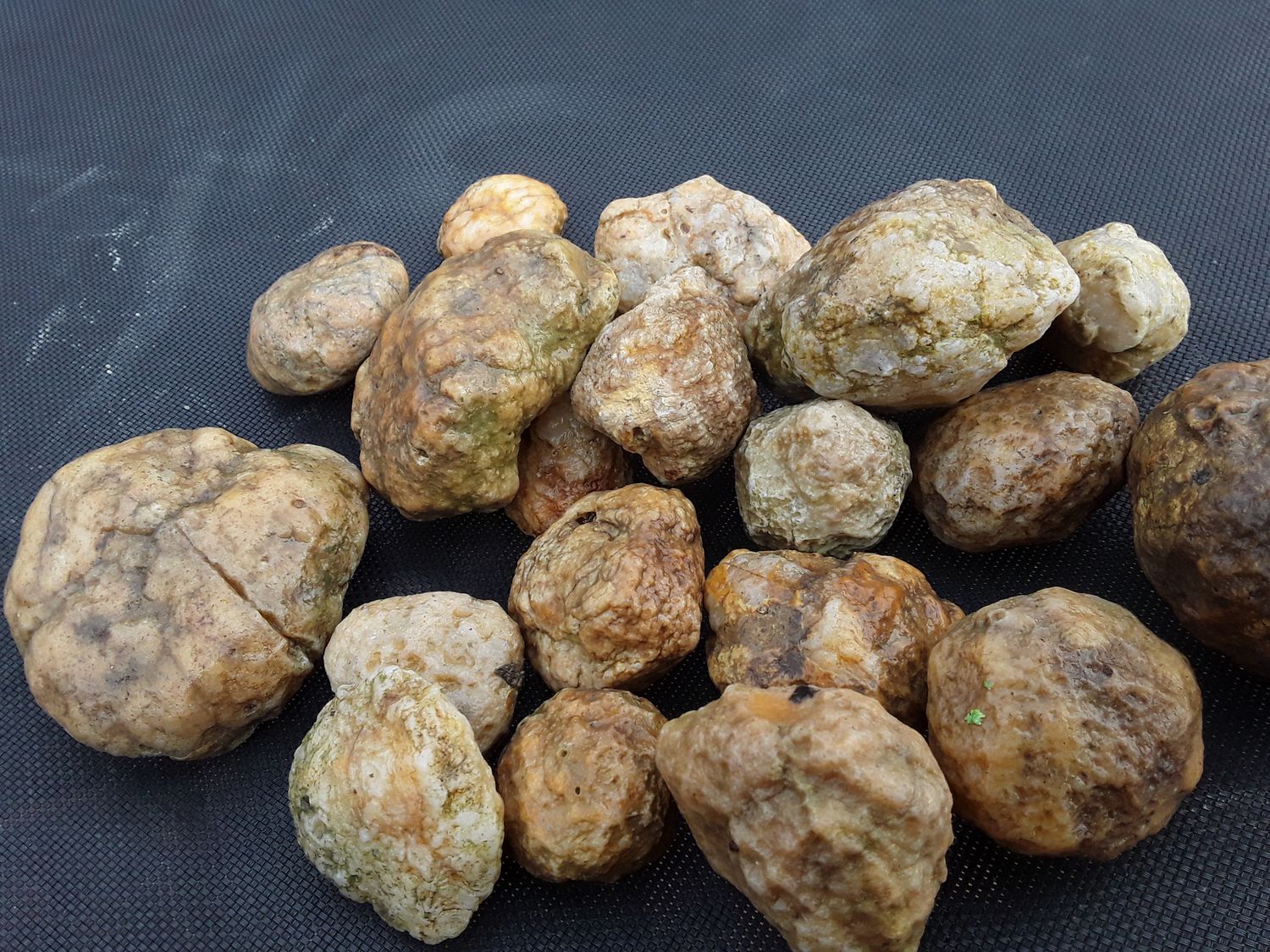 Kentucky Whole Geodes By The Pound Personalized Orders, You Approve Before I Ship It, Customer Satisfaction Guaranteed