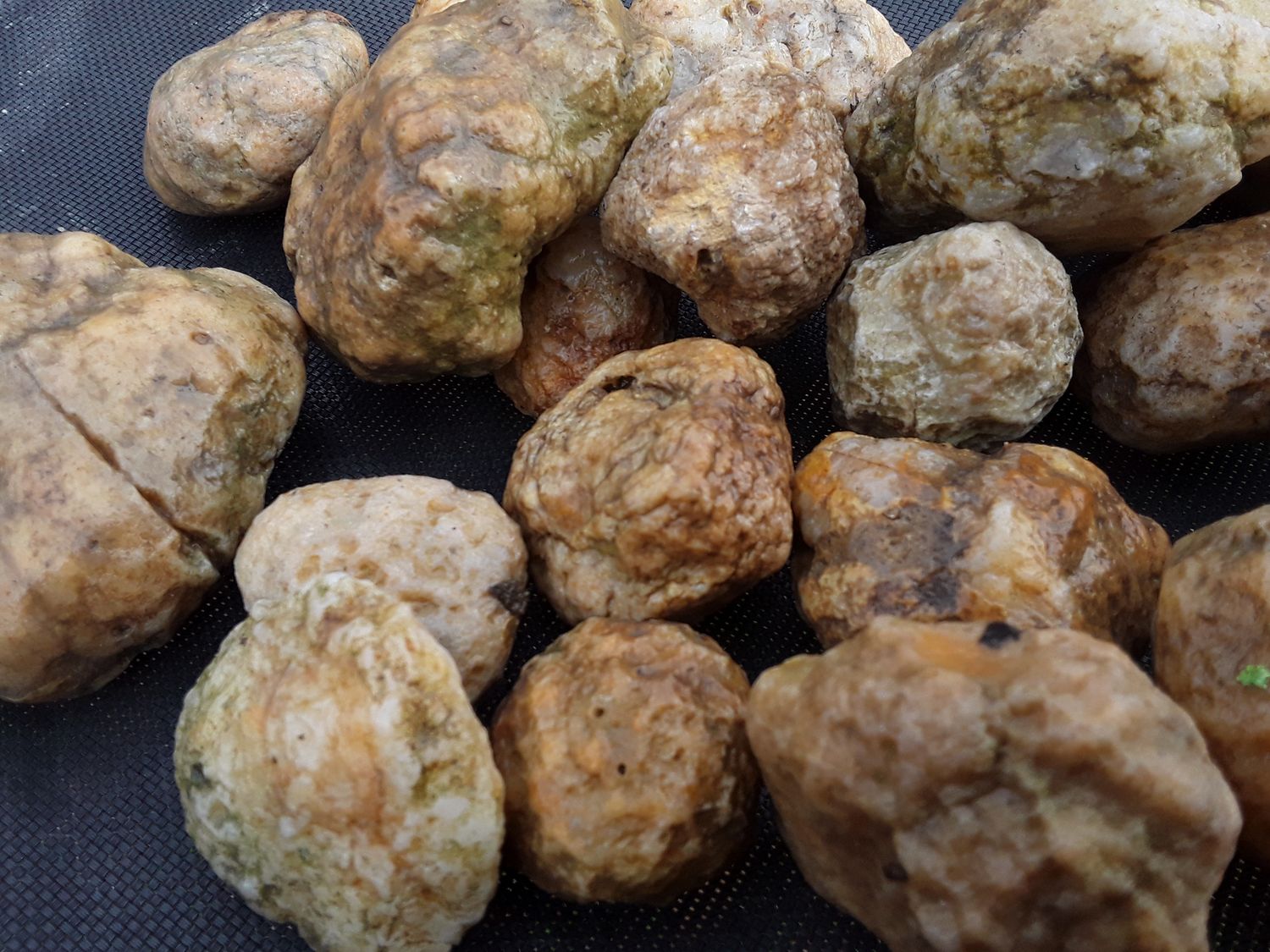 Kentucky Whole Geodes By The Pound Personalized Orders, You Approve Before I Ship It, Customer Satisfaction Guaranteed