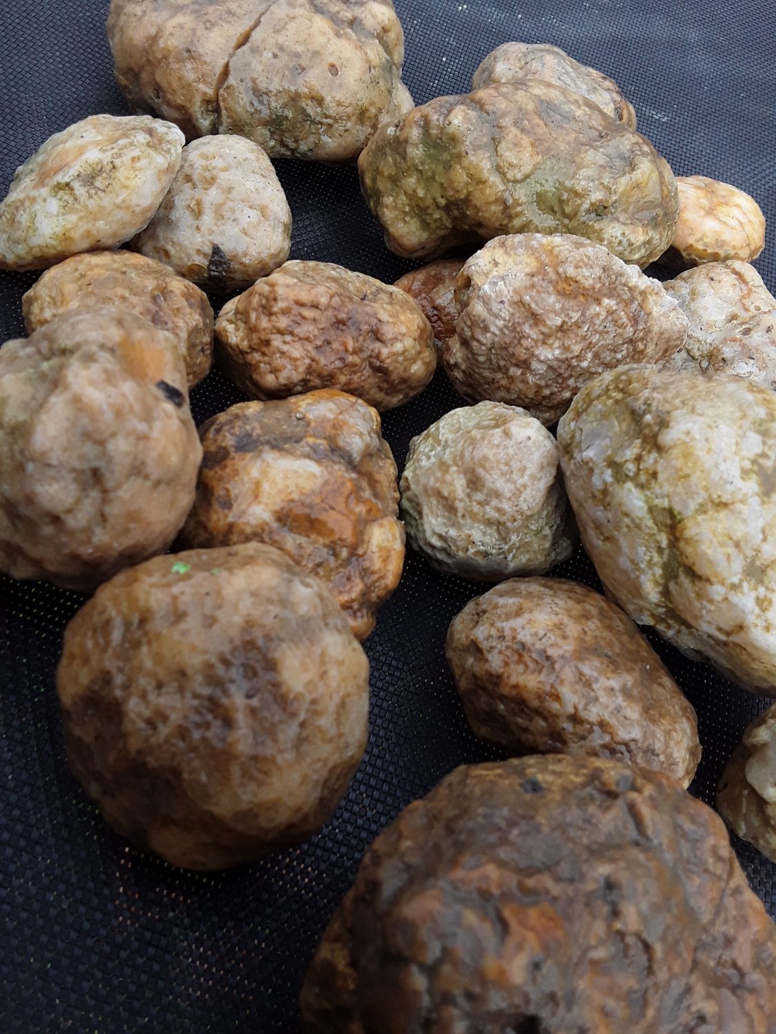 Kentucky Whole Geodes By The Pound Personalized Orders, You Approve Before I Ship It, Customer Satisfaction Guaranteed