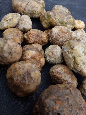Kentucky Whole Geodes By The Pound Personalized Orders, You Approve Before I Ship It, Customer Satisfaction Guaranteed