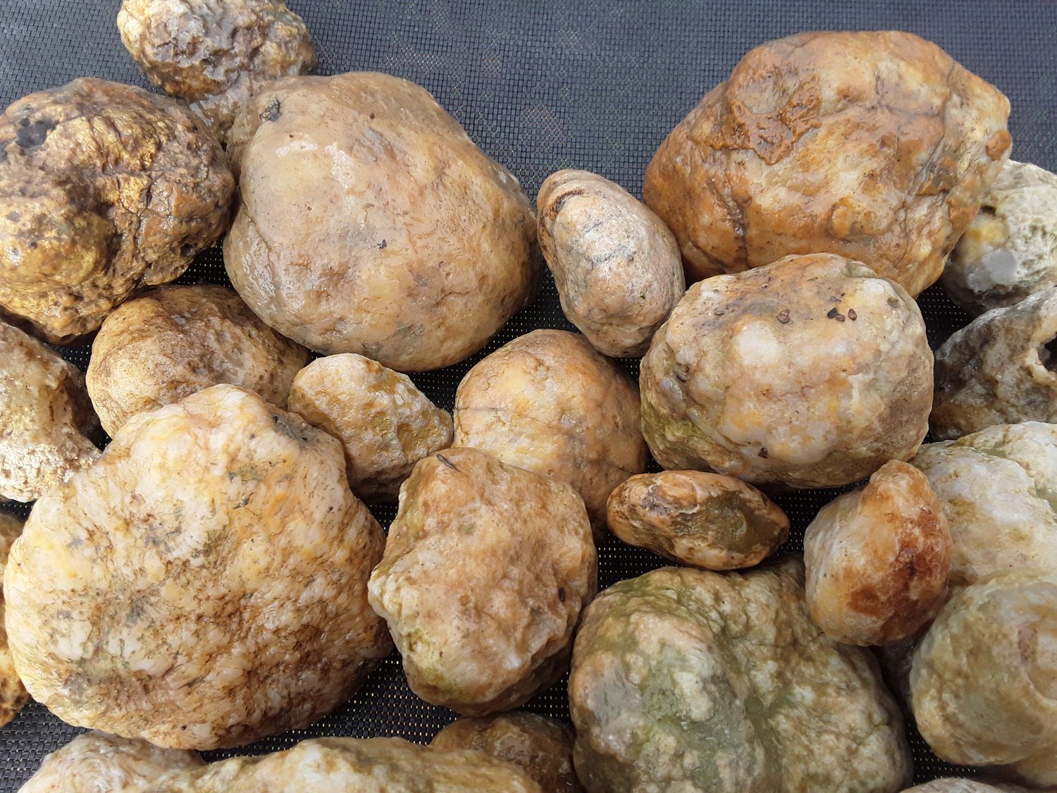 Kentucky Whole Geodes By The Pound Personalized Orders, You Approve Before I Ship It, Customer Satisfaction Guaranteed